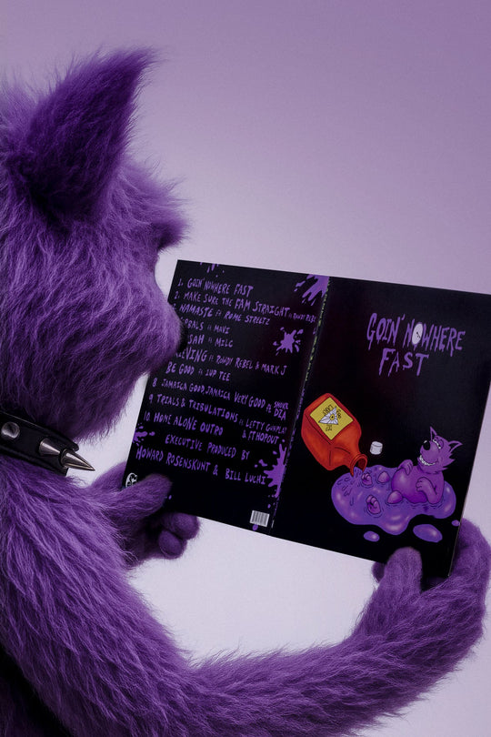 Cuzzin Howie Vinyl - GoodTalk