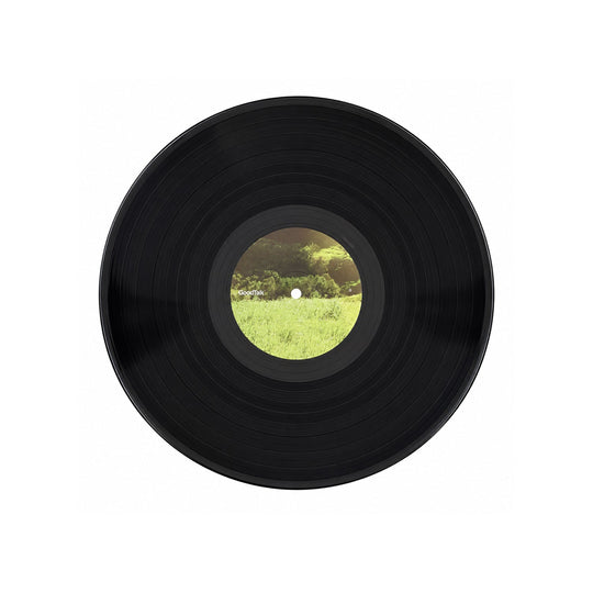 Wonderful Vinyl – Limited Edition 12” LP - GoodTalk